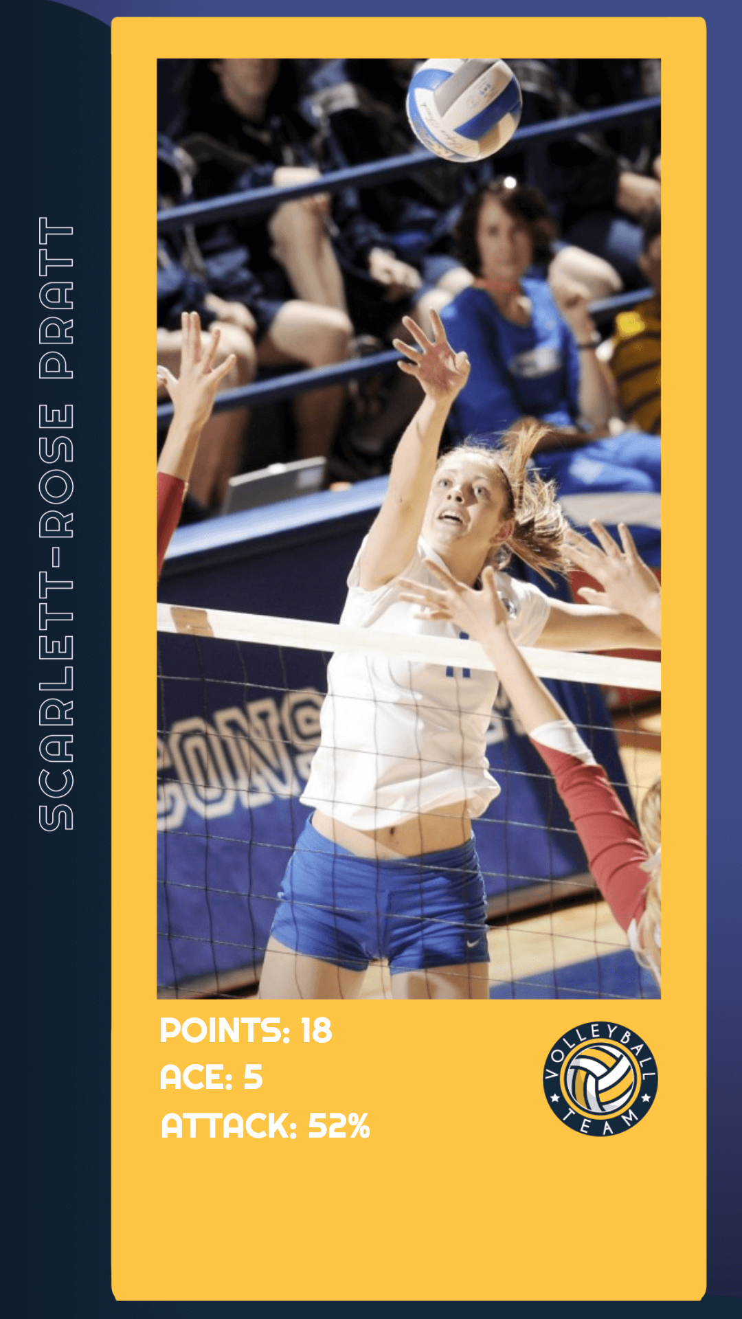 Volleyball Player Stats Template