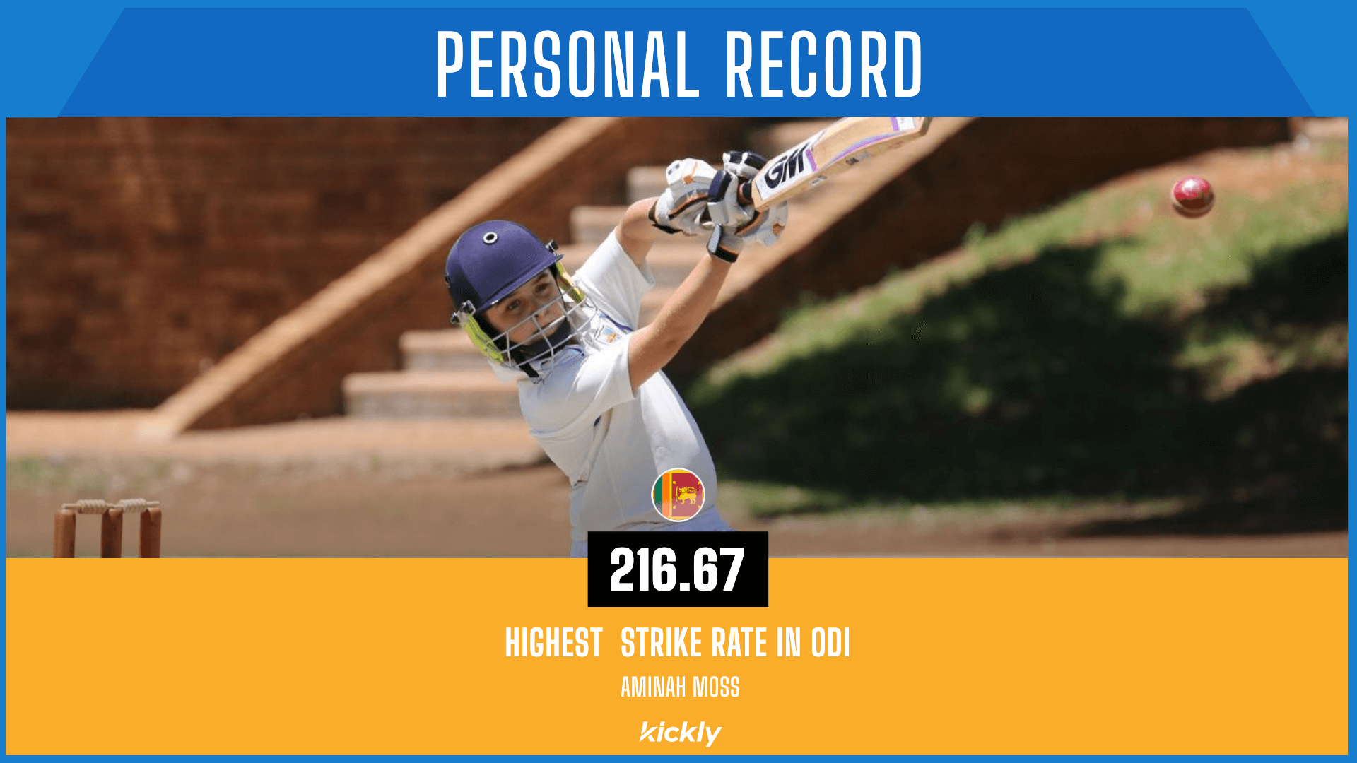 Cricket Player Personal Record Design
